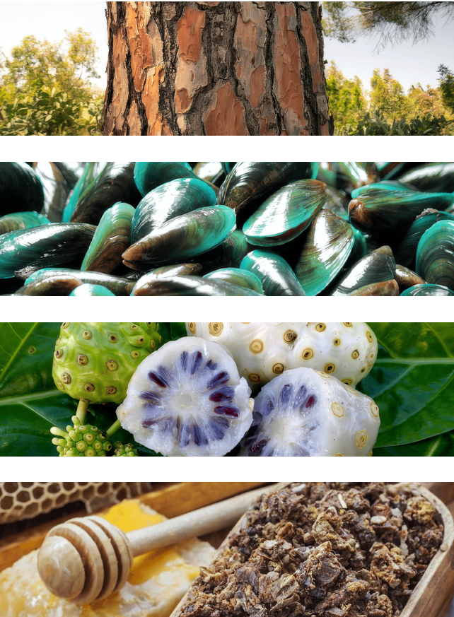 올포인트(김용길)