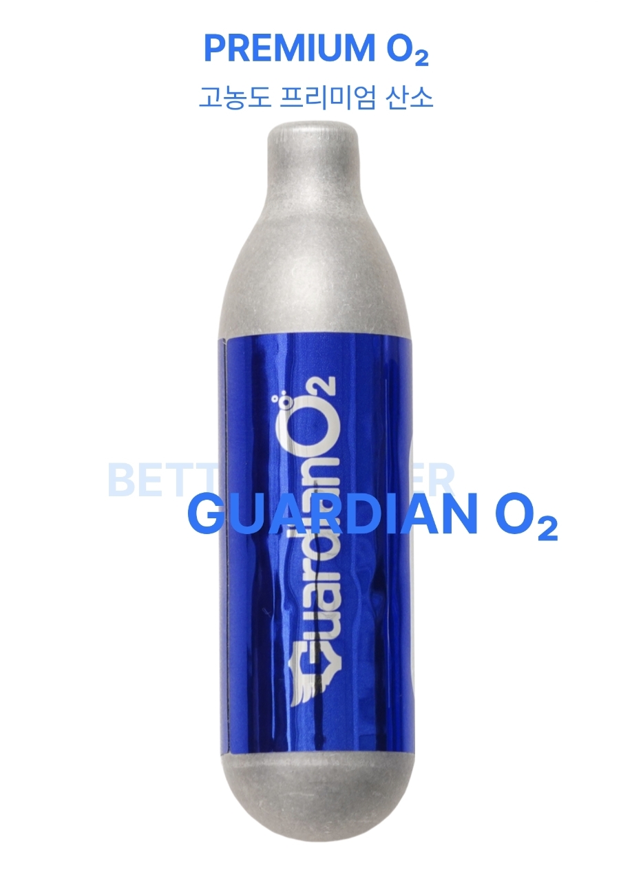 속초가디언센터