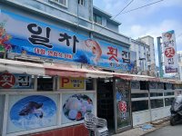 야미카페(최유옥1303) 일차로횟집