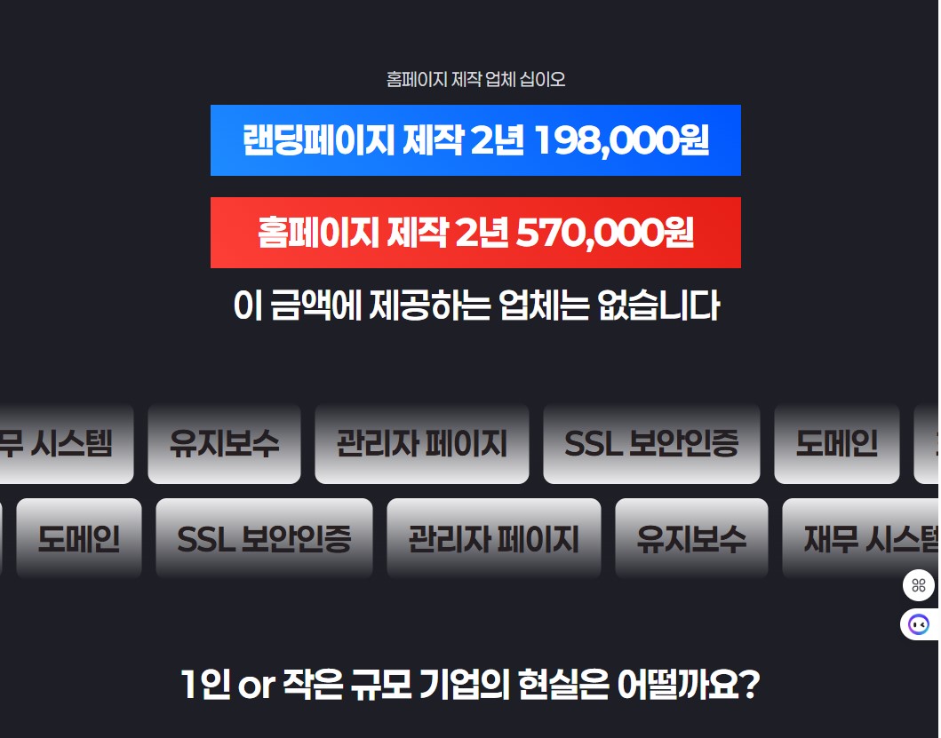 홈페이지 제작 2년 570,000,  랜딩페이지 제작 2년 198,000