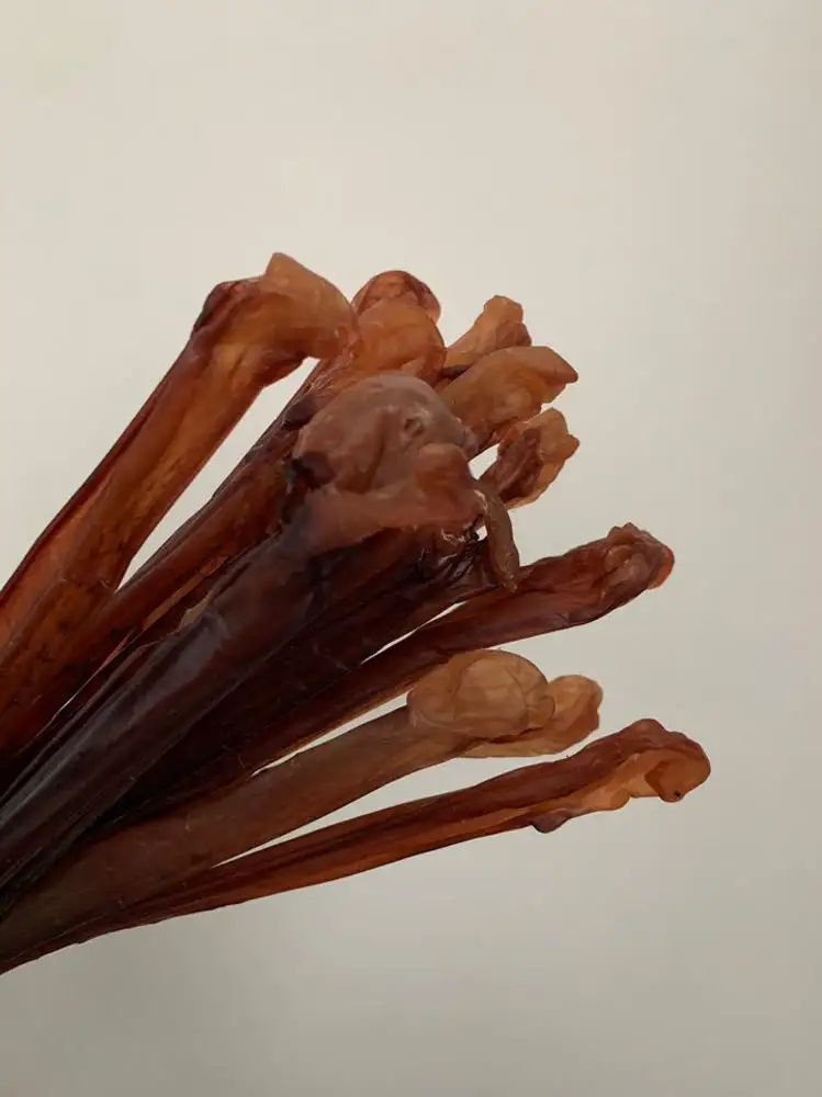 말랑 장족(롱다리) 250g