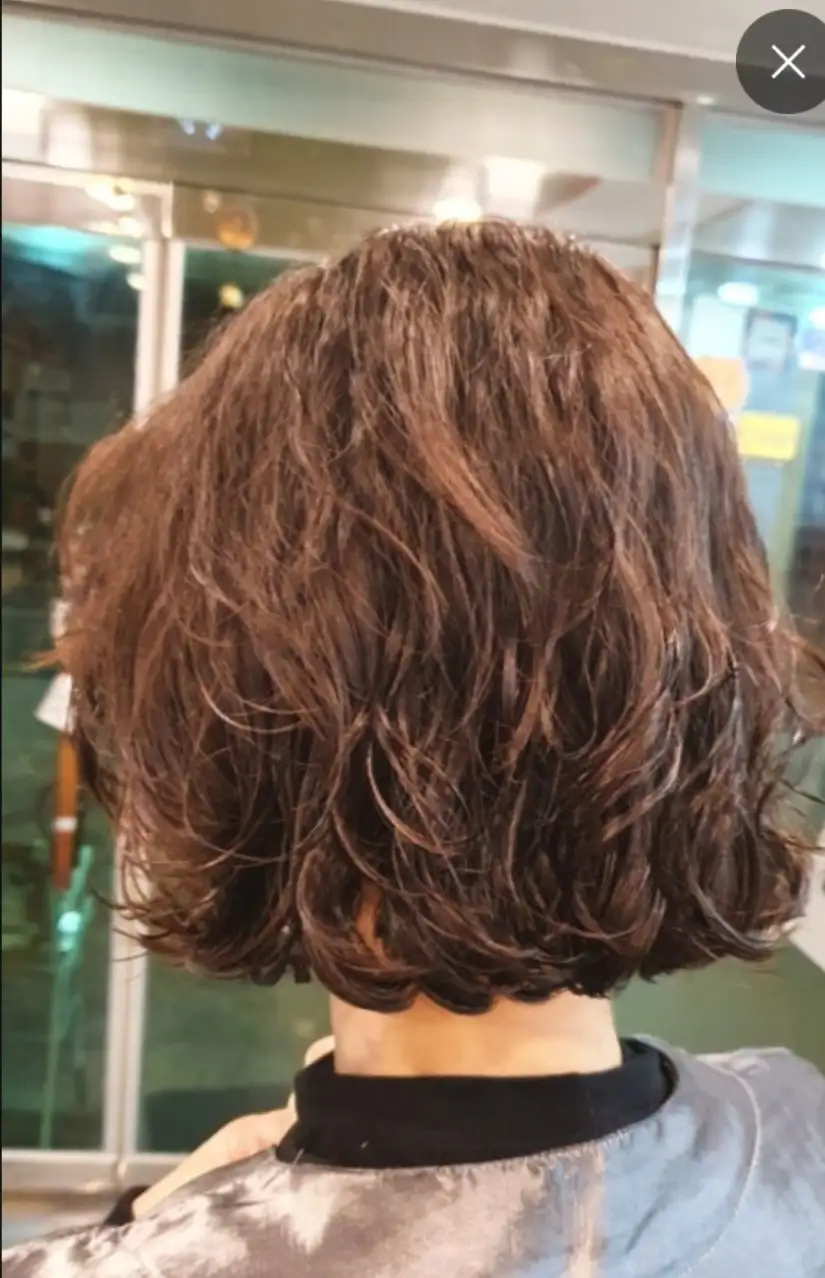 일반펌